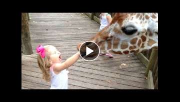 FORGET CATS! Funny KIDS vs ZOO ANIMALS are WAY FUNNIER! - TRY NOT TO LAUGH