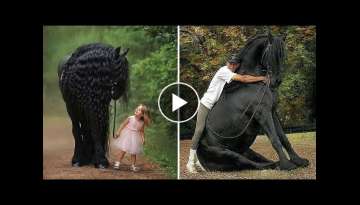 Horse SOO Cute! Cute And funny horse Videos Compilation cute moment