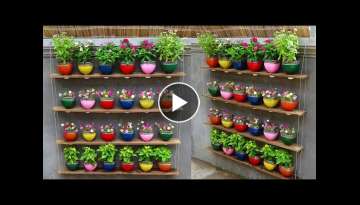 Recycle Plastic Bottles into Beautiful Hanging Garden On Old Wall | Portulaca Hanging Garden
